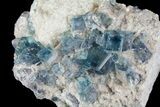 Blue, Cubic Fluorite Crystals on Quartz & Dolomite - China #139784-1